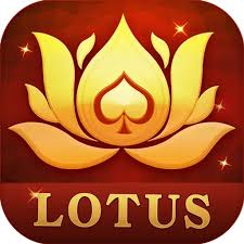 rummy bounas apps download